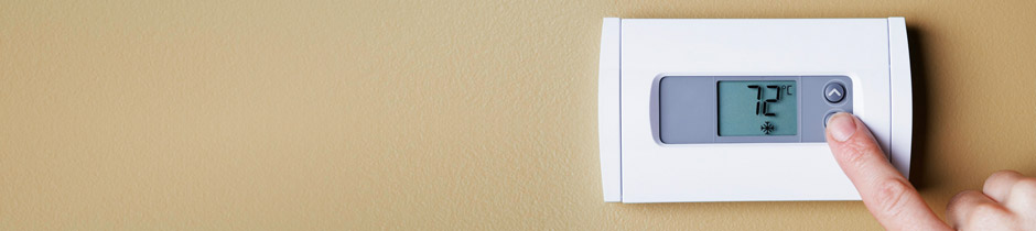 AVVOCATO Gerardo Petruicci